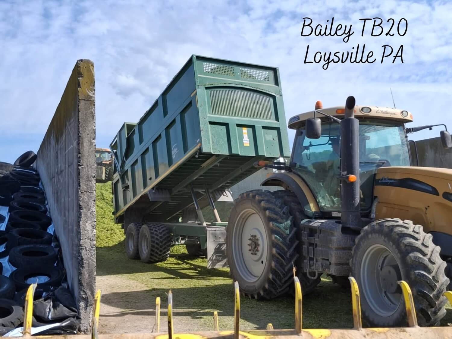 Bailey-TB20