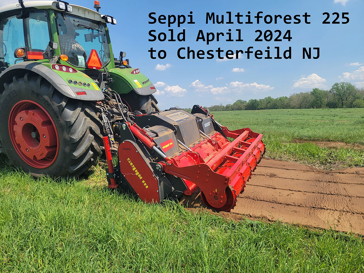 seppi-multiforest-255